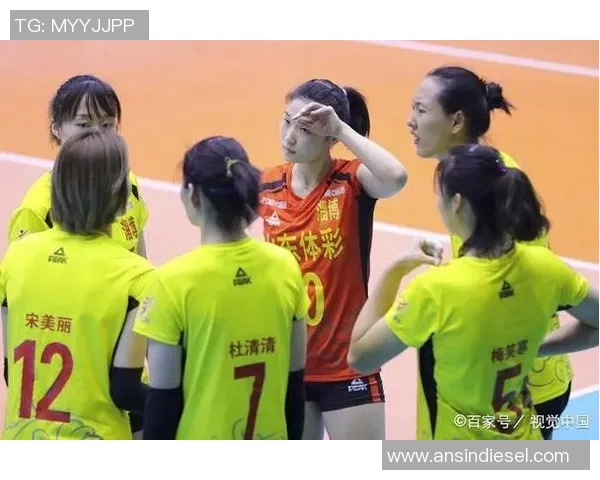 杭州排球队近期状态分析与表现评估探讨