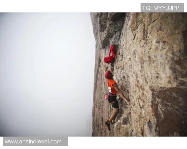 最新攀岩灵活性排行榜揭晓北京攀岩队实力超群位居第一