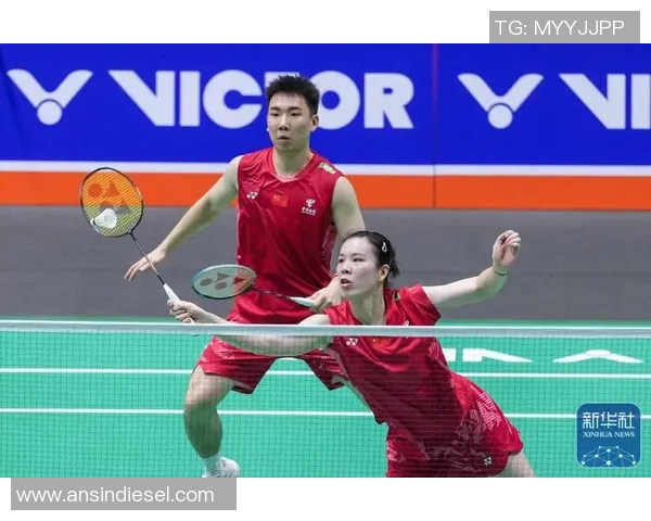 羽毛球配合实力榜单揭晓南京羽毛球队荣获第五名佳绩