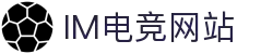 im电竞·(中国)电子竞技平台